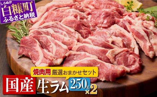 焼肉用ラム肉スライス【250g×2パック、オリジナルスパイス10g】