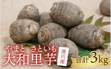 [先行予約]さといも 大和里芋(やまと)3kg[11月上旬以降順次発送]