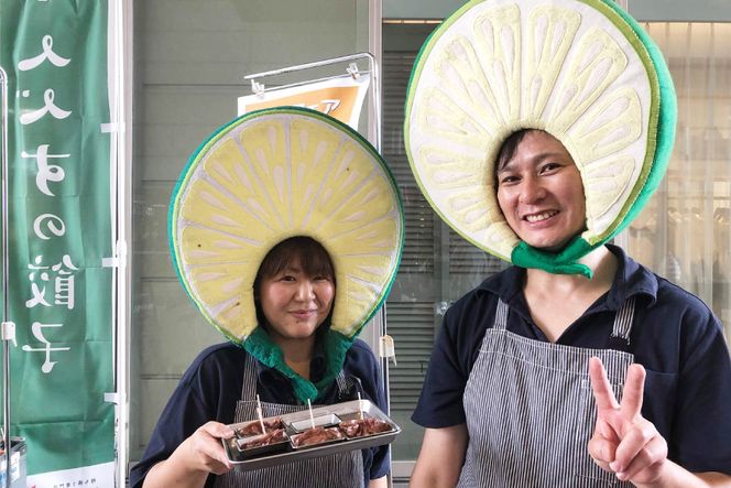 宮崎餃子 へべす餃子 15個×4 計60個 [餃子の里 宮崎県 日向市 452061116] 惣菜 餃子 ぎょうざ ギョウザ 専門店 冷凍