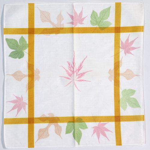 AN-2a 山の幸染め セットＡ