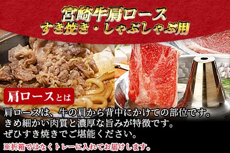＜宮崎牛肩ロース すき焼き・しゃぶしゃぶ用 500g＞翌月末迄に順次出荷【a0299_em_x3】
