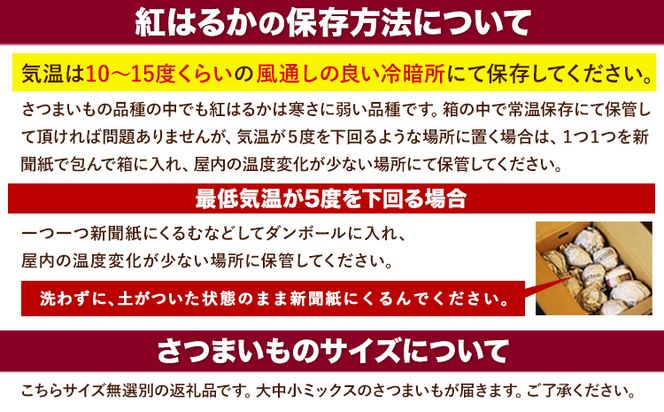 熊本県大津町産 タカハマ観光農園の紅はるか 約5kg(大中小ミックス)《1月上旬-4月末頃出荷》 さつまいも 芋 スイートポテト 干し芋にも---so_tkhmbni_af14_24_9500_5kg---