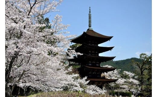 A002 山口オーダーメイド旅行プラン（300000円分）