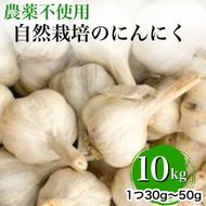 【2025年産 予約】にんにく 10kg 京都府・亀岡産 自然栽培のかたもとオーガニックファームよりお届け ※離島への発送不可 ※2025年6月下旬～9月下旬頃に順次発送予定