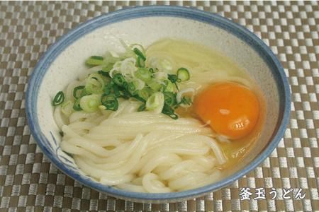 ふっくらモチモチ神埼生うどん 10袋入 【麺 うどん 生うどん 釜揚げうどん】(H014125)