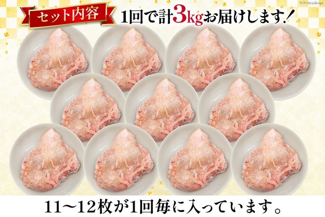 定期便 肉 鶏肉 12回定期便 若鶏もも身11~12パック 計3kg [九州児湯フーズ 宮崎県 美郷町 31aj0033] 冷凍 小分け 個包装  鶏もも肉 もも肉 モモ肉