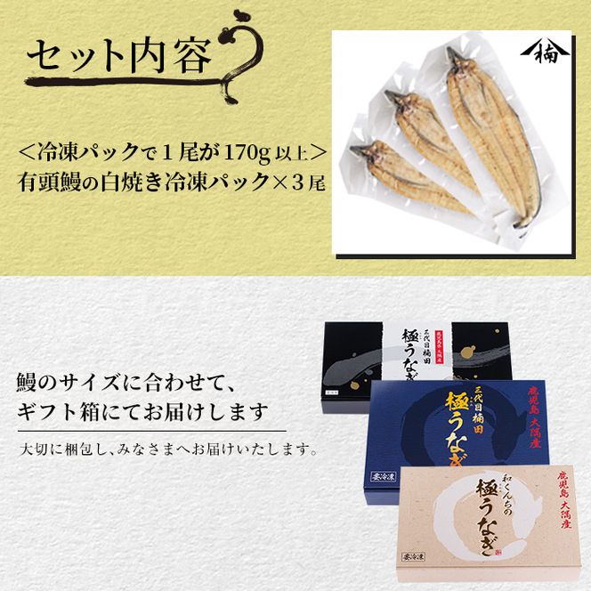 楠田の極うなぎ 白焼き 170g以上×3尾(計510g以上) b2-012（鹿児島県