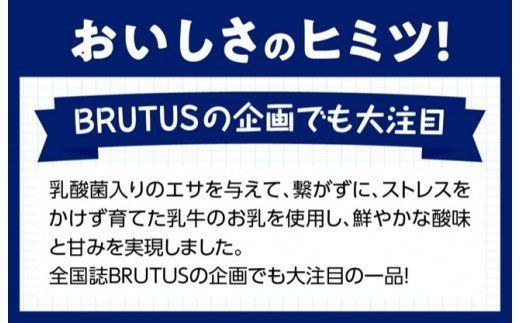 アイスヨーグルトセット 【 アリマン 菓子 デザート 詰め合わせ アイス ヨーグルト 】 [E2903]