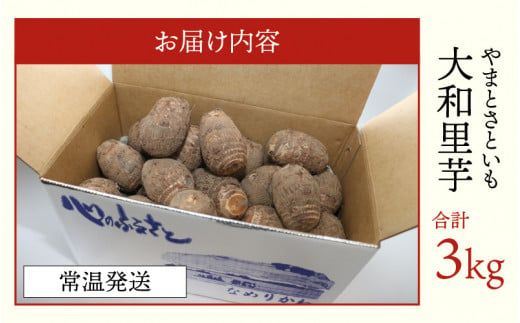 【先行予約】さといも 大和里芋（やまと）３kg【11月上旬以降順次発送】