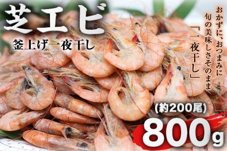 海老 エビ 釜揚げ 一夜干し 芝えび (800g)約200尾 えび 内野海産[45日以内に出荷予定(土日祝除く)]---sn_fuchiebi_45d_r7_13000_800g---