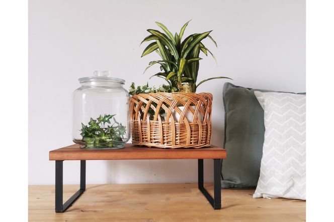 棚 無垢材とアイアンのシェルフ 幅広タイプ M47cm ブラウン 約横47cm×高16cm×奥行28cm 完成品 [新星金属製作所 大阪府 守口市 20940873] 家具 インテリア シェルフ 植物置き 靴棚