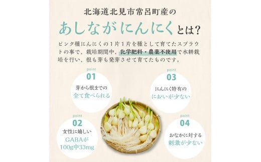 【予約：2025年1月上旬から順次発送】【訳あり】あしながにんにく 60g×4袋 ( 国産 北海道産 野菜 にんにく ニンニク 訳アリ セット 詰め合わせ )【143-0005-2025】