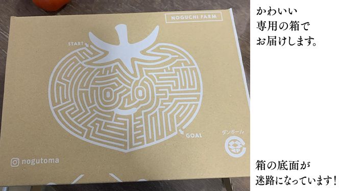 野口農園！ 王様トマト 約2kg ( 8～12個入り )！ ごほうび・麗容・サンロード トマト ごほうび 麗容 サンロード 新鮮 美味しい 野菜 [J007-NT]