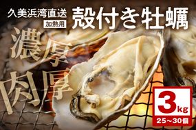 朝採れ、鮮度抜群！濃厚！肉厚！久美浜湾直送　殻付き牡蠣3kg(25～30個) YK00111