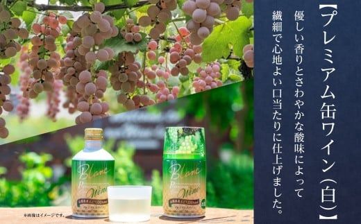 プレミアム缶ワイン 赤 白 300ml 24本入 飲み比べ モンデ酒造 177-4-011