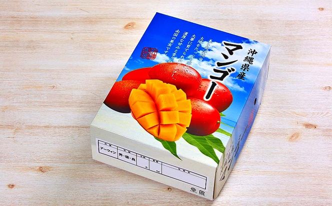 【2024年発送先行予約】沖縄県【琉花ファーム】アップルマンゴー秀品２kg　（ご贈答用）