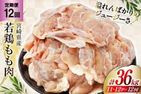 定期便 肉 鶏肉 12回定期便 若鶏もも身11〜12パック 計3kg [九州児湯フーズ 宮崎県 美郷町 31aj0033] 冷凍 小分け 個包装  鶏もも肉 もも肉 モモ肉