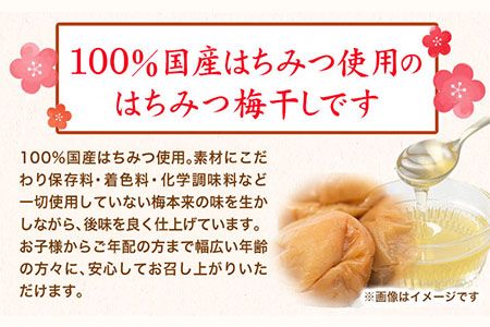 紀州南高梅使用 はちみつうす塩味完熟梅干し 無選別1kg 厳選館 《90日以内に出荷予定(土日祝除く)》 和歌山県 日高川町 紀州南高梅 はちみつうす塩 梅干し---wshg_tmt186_90d_24_14000_1kg---