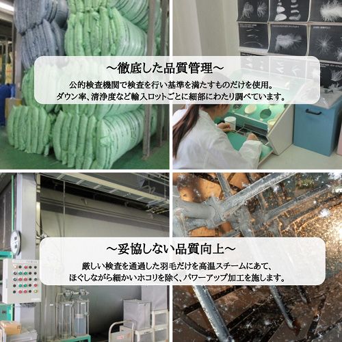 ＜京都金桝＞羽毛布団 ダブル ポーランド産マザーホワイトグースダウン95％ 1.7kg 日本製 冬用 布団 DP420 京都亀岡産 ロワーレ