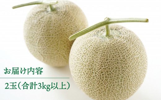 【2026年11月中旬～発送】【数量限定】【高級フルーツ】 アールスメロン 2玉 / 果物 フルーツ メロン めろん / 南島原市 / 長崎県農産品流通合同会社 [SCB074] 先行受付 メロン 先行予約 青肉 メロン 3kg以上 青肉メロン メロン 