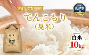 【令和7年度米】【先行予約】【農家直送】環境配慮「魚津のてんこもり（晃米）」10kg（白米） ｜新米 MK農産 白米 銘柄米 ご飯 おにぎり お弁当 和食 主食 国産 産地直送 甘み 香り もちもち ※2025年10月中旬頃より順次発送予定 ※北海道・沖縄・離島への配送不可