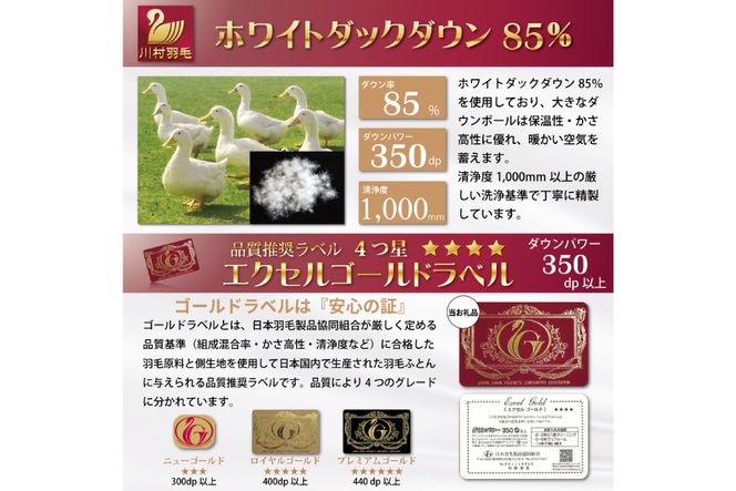 【春秋用】 中厚 羽毛 合掛け 布団 ダブル ホワイトダックダウン 85％ 1.2kg (無地 アイボリー)  [川村羽毛 山梨県 韮崎市 20743641] 羽毛布団 日本製 エクセルゴールドラベル