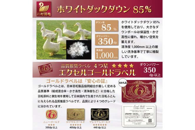 【春秋用】 中厚 羽毛 合掛け 布団 ダブル ホワイトダックダウン 85％ 1.2kg (無地 アイボリー) [川村羽毛 山梨県 韮崎市 20741674] 羽毛布団 日本製 エクセルゴールドラベル