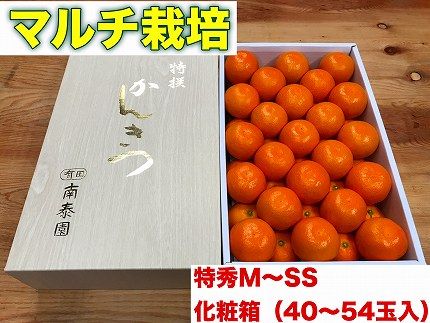 定期便 先行受付 2026年 10月発送スタート 有田みかん 食べくらべ 3種 化粧箱 各約 3kg 全3回 南泰園 BS806