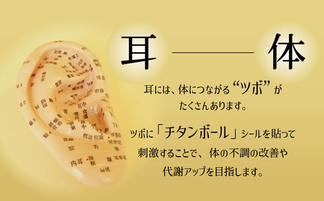 耳つぼ体験 60分 利用券【１名様分】リラクゼーション 健康 マッサージ 癒しプライベートサロン チケット　H178-002