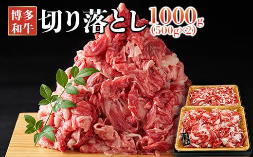 ycsza؂藎Ƃ@1000i500×2j