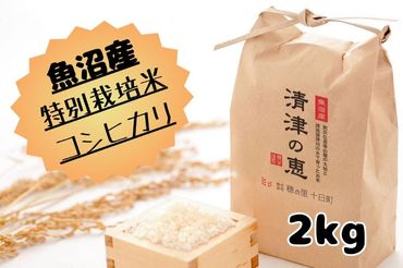 【令和５年産】魚沼産特別栽培米コシヒカリ［清津の恵］精米2kg（１kgx２袋） EJ01