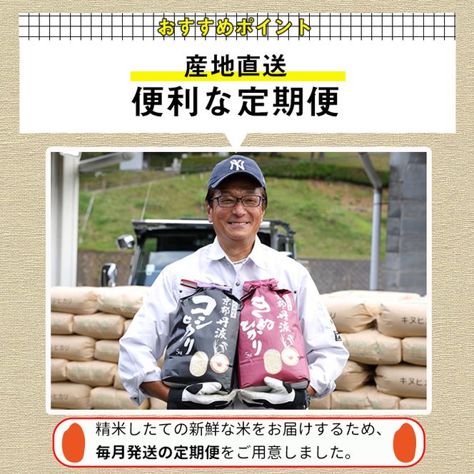 【12月末まで】【定期便】令和7年産 新米 京都丹波米こしひかり5kg×12回 計60kg〇12ヶ月 12か月 白米 ※精米したてをお届け ｜契約栽培米 緊急支援 米 コシヒカリ 京都丹波産 ※北海道・沖縄・離島への配送不可