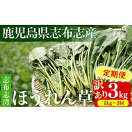 【定期便3回】【数量限定・訳あり】志布志湾ほうれん草(計3kg 1kg×3回)  t0021-003