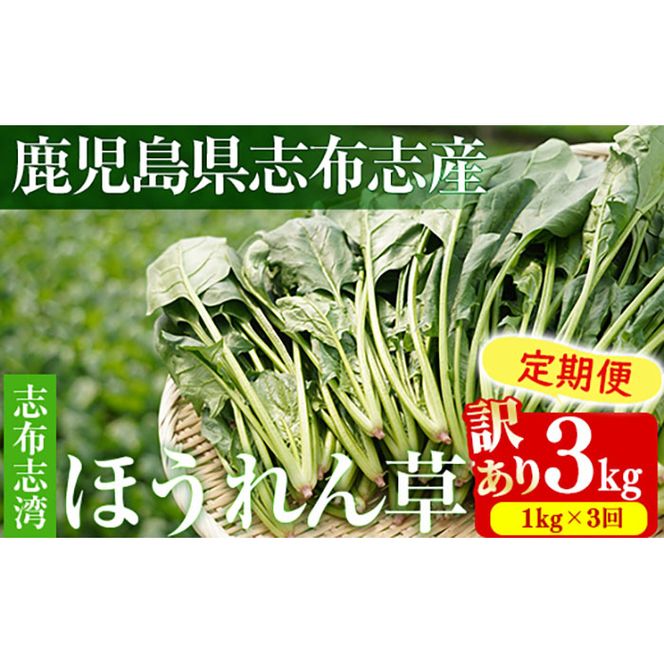 yuzuszy3zyʌE󂠂zuzupق(v3kg 1kg×3)? t0021-003