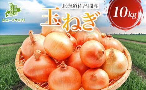 玉ねぎ 10kg 北海道 佐呂間産 （2026年10月出荷開始先行予約） SRMM019