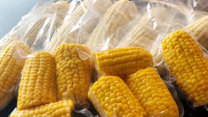 【 先行予約・7月中旬以降発送 】 【 訳あり 】 加熱調理済み 真空 とうもろこし 3品種 食べ比べ セット（ ゴールドラッシュ＆クリスピーホワイト＆おおもの ） 約3kg トウモロコシ 食べくらべ 無添加 保存料不使用 真空パック 甘い 新鮮 [AU076ya]