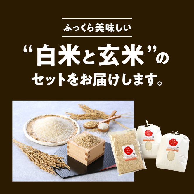 宮崎ヒノヒカリ 延岡産 白米と白い玄米セット 合計10.8kg N0149 宮崎ヒノヒカリ 延岡産 白米と白い玄米セット 合計10.8kg N0149