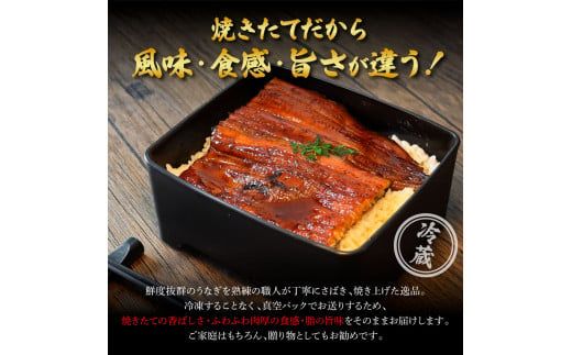 ～四国一小さなまち～ 特選うなぎの蒲焼き2尾 ひつまぶし1袋 1尾あたり約130g タレ付き 山椒付き ウナギ 鰻 かば焼き 無頭 ふっくら 国産【7/15入金分まで】