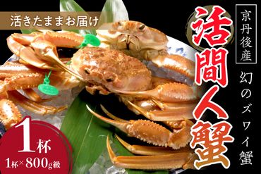 【幻のズワイ蟹】京丹後産 活間人蟹 鮮度抜群、活きたままお届け！！ 800g級×1杯　高級 国産 海産物 甲殻類 かに カニ ずわいがに 間人蟹 茹で ボイル ふるさと納税 海鮮 松葉蟹 松葉がに 松葉ガニ 間人がに 間人ガニ たいざがに YK00081