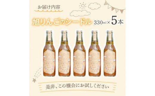 旭りんごのシードル 5本 ( 果物 フルーツ 林檎 りんご リンゴ 飲料類 酒 アルコール 醸造酒 辛口 )【044-0009】