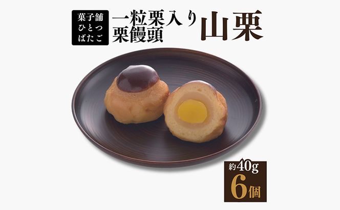 y򕌌Ðsz\ ꗱII\ RI 6P  ꗱI 򕌌Ðs F4N-1425