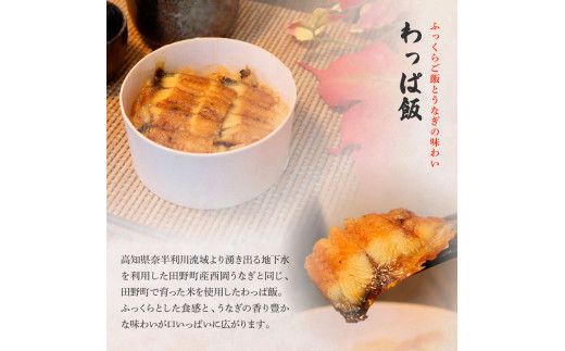 【ふるさと納税】★四国一小さなまち★田野町産うなぎのわっぱ飯6個+うなぎの蒲焼き(大)2尾 鰻 ウナギ お弁当 ご飯 ごはん めし わっぱめし かば焼き 無頭 タレ付き 山椒付き ふっくら 美味しい 手軽 簡単 レンジ お取り寄せ 冷凍 配送 高知県 田野町 ふるさとのうぜい 故郷納税 返礼品