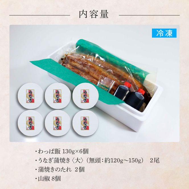 【ふるさと納税】★四国一小さなまち★田野町産うなぎのわっぱ飯6個+うなぎの蒲焼き(大)2尾 鰻 ウナギ お弁当 ご飯 ごはん めし わっぱめし かば焼き 無頭 タレ付き 山椒付き ふっくら 美味しい 手軽 簡単 レンジ お取り寄せ 冷凍 配送 高知県 田野町 ふるさとのうぜい 故郷納税 返礼品