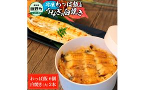 【ふるさと納税】★四国一小さなまち★田野町産うなぎのわっぱ飯6個+うなぎの白焼き(大)2尾 鰻 ウナギ お弁当 ご飯 ごはん めし わっぱめし かば焼き 無頭 タレ付き 山椒付き ふっくら 美味しい 手軽 簡単 レンジ お取り寄せ 冷凍 配送 高知県 田野町 ふるさとのうぜい 故郷納税 返礼品