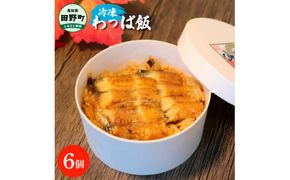 【ふるさと納税】★四国一小さなまち★田野町産うなぎのわっぱ飯6個セット 鰻 うなぎ ウナギ お弁当 ご飯 ごはん めし わっぱめし 手軽 簡単 レンジ ふっくら 美味しい グルメ 和食 お取り寄せ 冷凍 配送 高知県 田野町 ふるさとのうぜい 故郷納税 返礼品