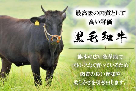 くまもと黒毛和牛 すき焼き肉 ロース切り落とし500g 《60日以内に出荷予定(土日祝除く)》 熊本県 長洲町 くまもと黒毛和牛 黒毛和牛 牛肉 肉 すき焼き 株式会社 羽根(出荷元：株式会社酒湊) 切落し---sn_fhnrosu_60d_r7_14500_500g---