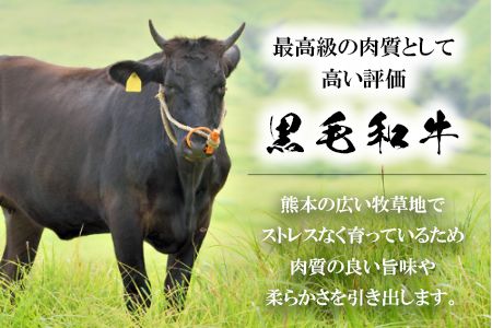 くまもと黒毛和牛 切り落とし 1kg《60日以内に出荷予定(土日祝除く)》 熊本県 長洲町 くまもと黒毛和牛 黒毛和牛 牛肉 肉 牛丼 切落し 株式会社 羽根(出荷元：株式会社酒湊)---sn_fhnkiri_60d_24_14500_1kg---