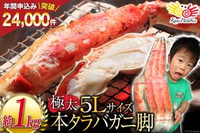 本 タラバガニ 脚 ボイル済 約1kg 極太5Lサイズ / カネダイ / 宮城県 気仙沼市 カニ かに 蟹 たらばがに たらば蟹 タラバ蟹 たらば タラバ ボイル [20564323_CF01]