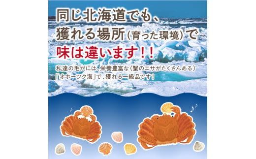 《14営業日以内に発送》オホーツク海産 浜茹で毛がに 約800g×1パイ 冷凍 ( かに カニ 毛ガニ 魚介類 蟹 )【114-0032-2026】