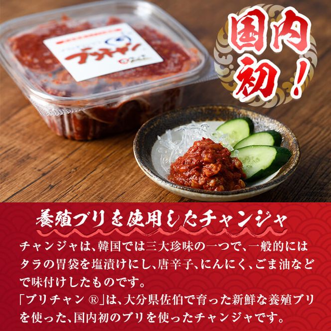 ブリチャン (500g) 鰤 ブリ チャンジャ 韓国料理 コチュジャン おつまみ 加工食品 大分県産 大分県 佐伯市【EW001】【(株)Up】